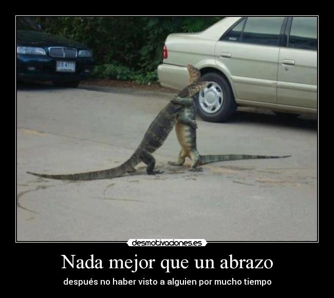 carteles lizard friendship desmotivaciones