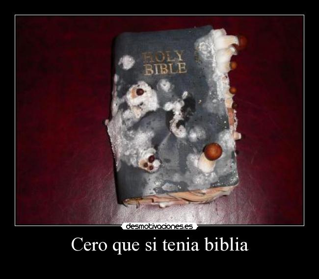 Cero que si tenia biblia -