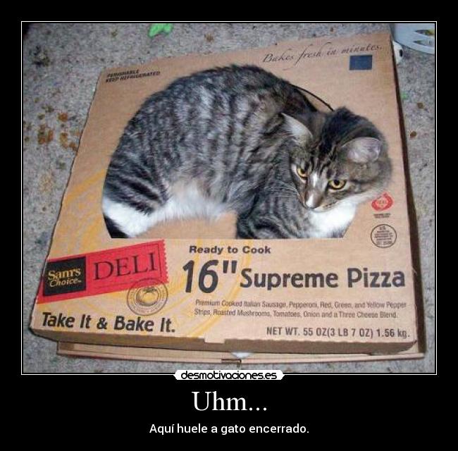 Uhm... - Aquí huele a gato encerrado.