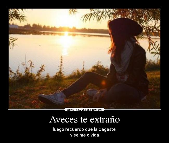 Aveces te extraño - luego recuerdo que la Cagaste
y se me olvida