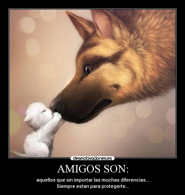 AMIGOS SON: - aquellos que sin importar las muchas diferencias...
Siempre estan para protegerte...
