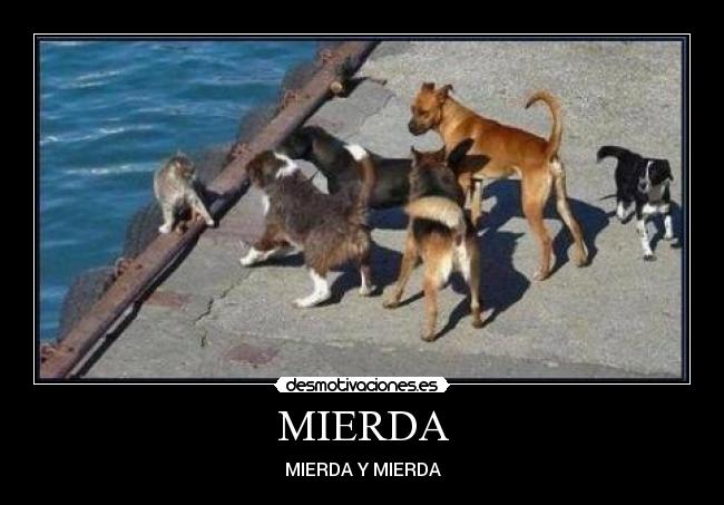 MIERDA -