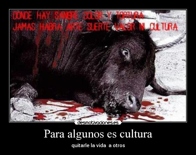 Para algunos es cultura -