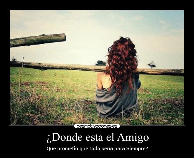 carteles dijiste ire ahora donde andaras desmotivaciones