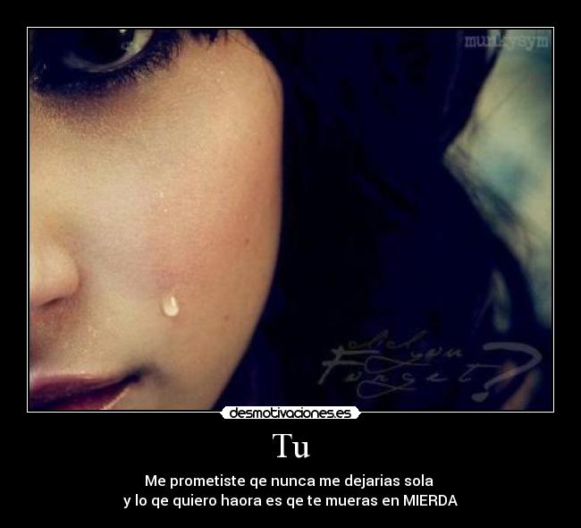 carteles nadie desmotivaciones