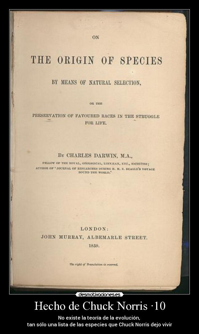 Hecho de Chuck Norris ·10 - No existe la teoría de la evolución,
tan sólo una lista de las especies que Chuck Norris dejo vivir