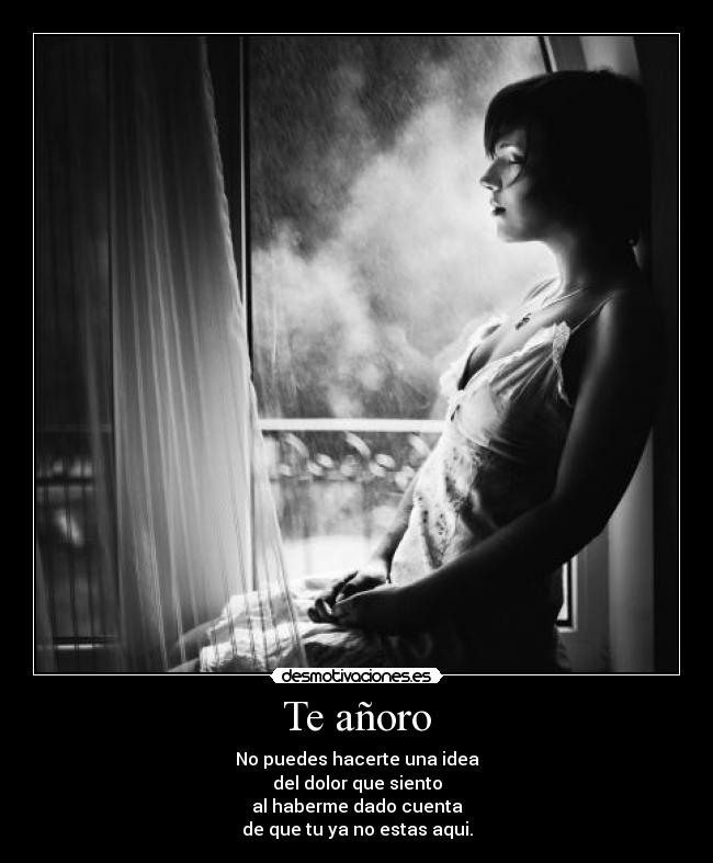 Te añoro -