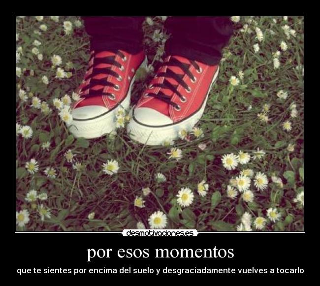 carteles giselaaaa desmotivaciones