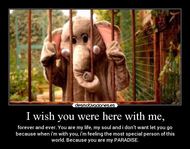 carteles paraiso desmotivaciones