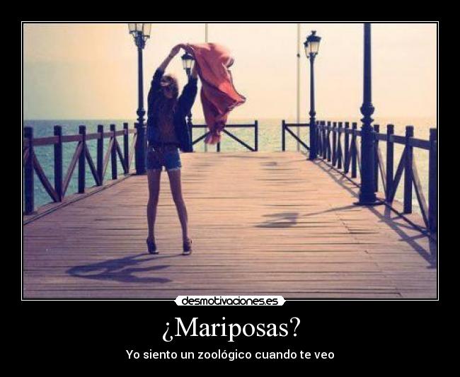 ¿Mariposas? - Yo siento un zoológico cuando te veo