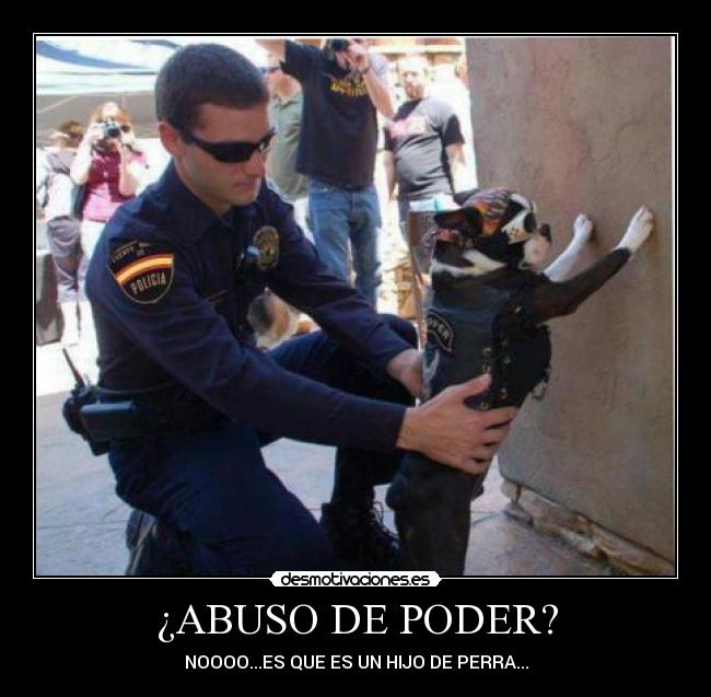 carteles perro desmotivaciones