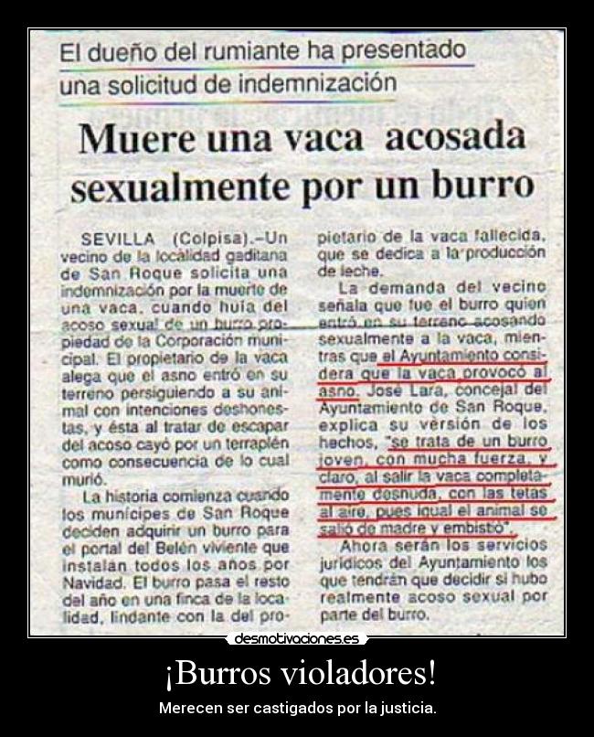¡Burros violadores! - Merecen ser castigados por la justicia.