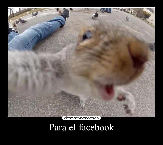 Para el facebook -