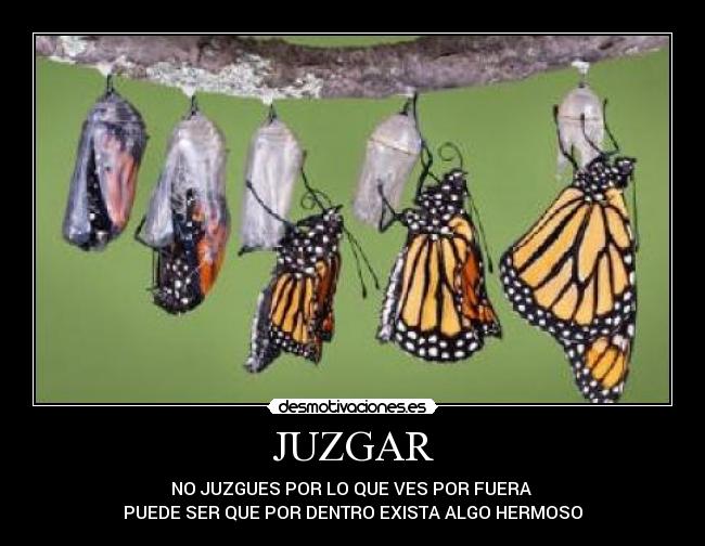 JUZGAR - NO JUZGUES POR LO QUE VES POR FUERA
PUEDE SER QUE POR DENTRO EXISTA ALGO HERMOSO