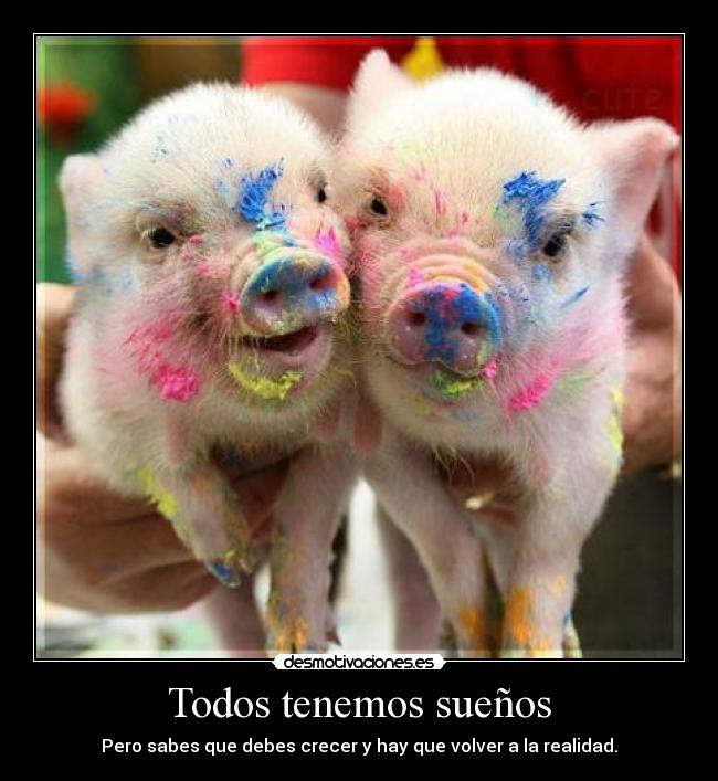 Todos tenemos sueños - Pero sabes que debes crecer y hay que volver a la realidad.