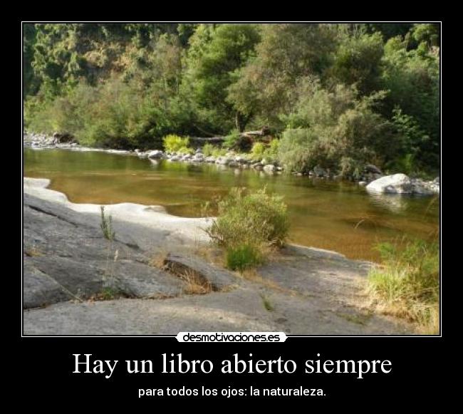 Hay un libro abierto siempre - para todos los ojos: la naturaleza.