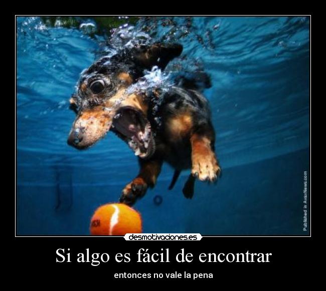 Si algo es fácil de encontrar - entonces no vale la pena