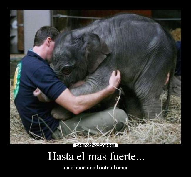 Hasta el mas fuerte... -