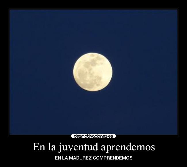 En la juventud aprendemos - EN LA MADUREZ COMPRENDEMOS