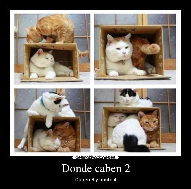 Donde caben 2 - Caben 3 y hasta 4