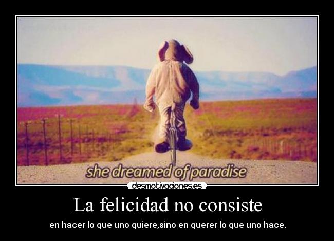La felicidad no consiste -