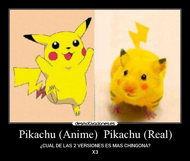 Pikachu (Anime)  Pikachu (Real) - 