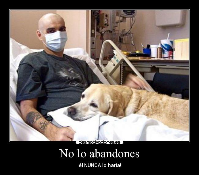 No lo abandones - él NUNCA lo haría!