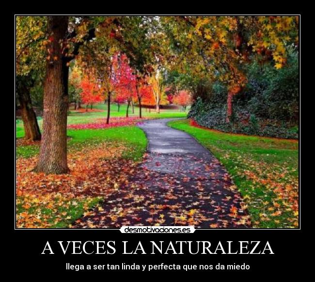 carteles naturaleza vilandrita desmotivaciones
