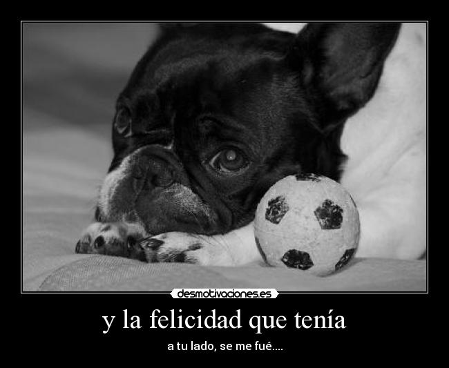 y la felicidad que tenía - a tu lado, se me fué....