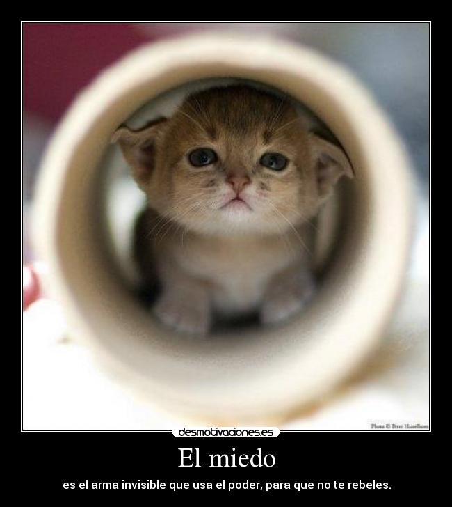 El miedo - es el arma invisible que usa el poder, para que no te rebeles.