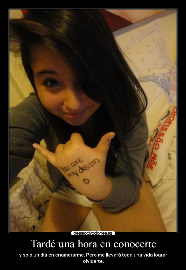 Tardé una hora en conocerte - y solo un día en enamorarme. Pero me llevará toda una vida lograr olvidarte.