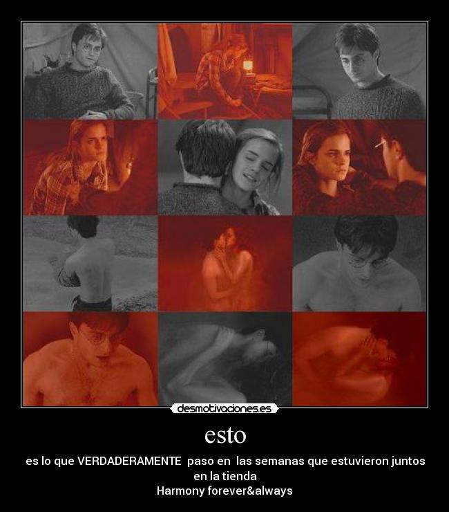 esto - es lo que VERDADERAMENTE paso en las semanas que estuvieron juntos
en la tienda
Harmony forever&always♥