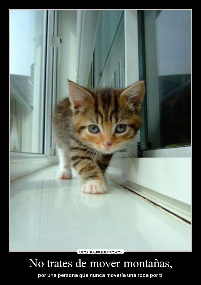 No trates de mover montañas, - por una persona que nunca movería una roca por ti.
