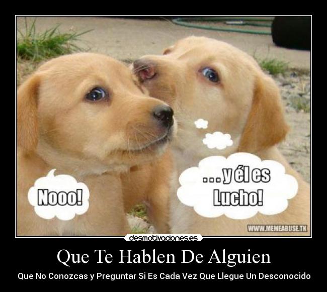 Que Te Hablen De Alguien - Que No Conozcas y Preguntar Si Es Cada Vez Que Llegue Un Desconocido