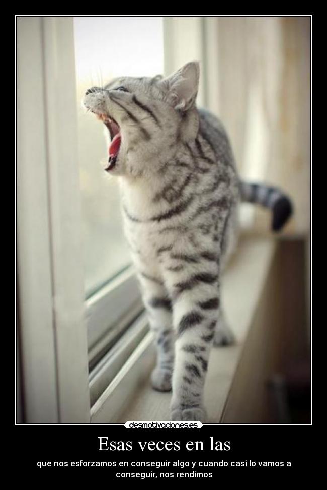 Esas veces en las - que nos esforzamos en conseguir algo y cuando casi lo vamos a
conseguir, nos rendimos