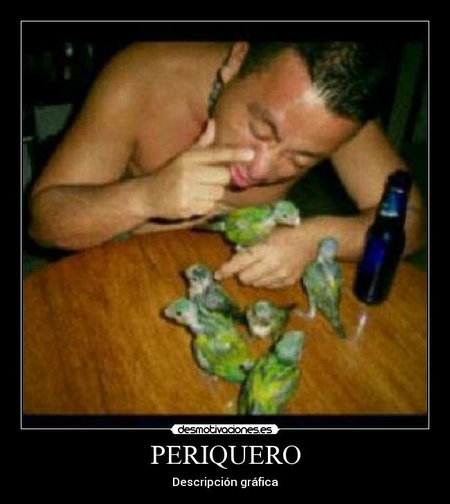 PERIQUERO - 