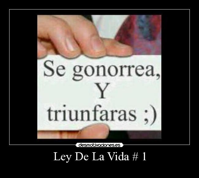 Ley De La Vida # 1 - 