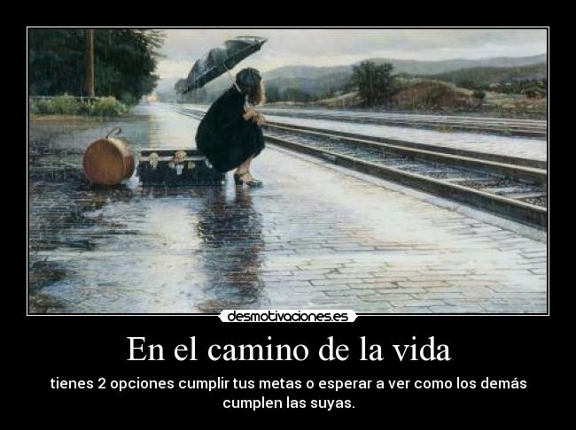 En el camino de la vida -