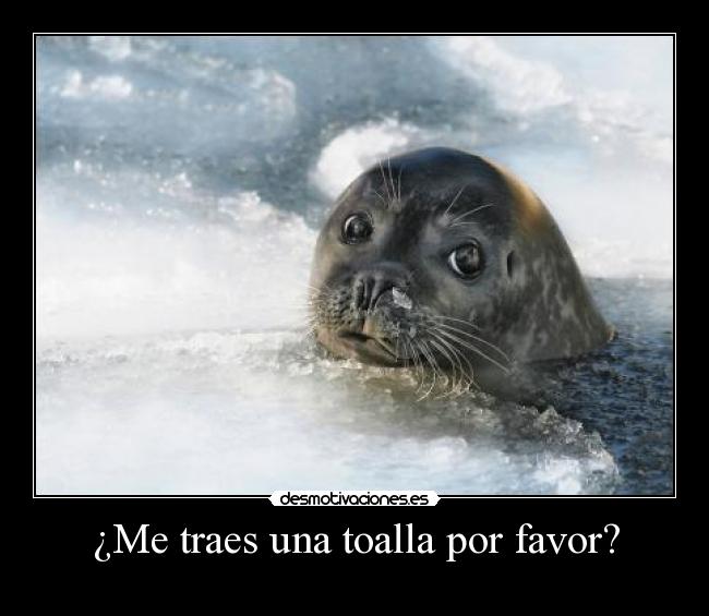 carteles toalla desmotivaciones