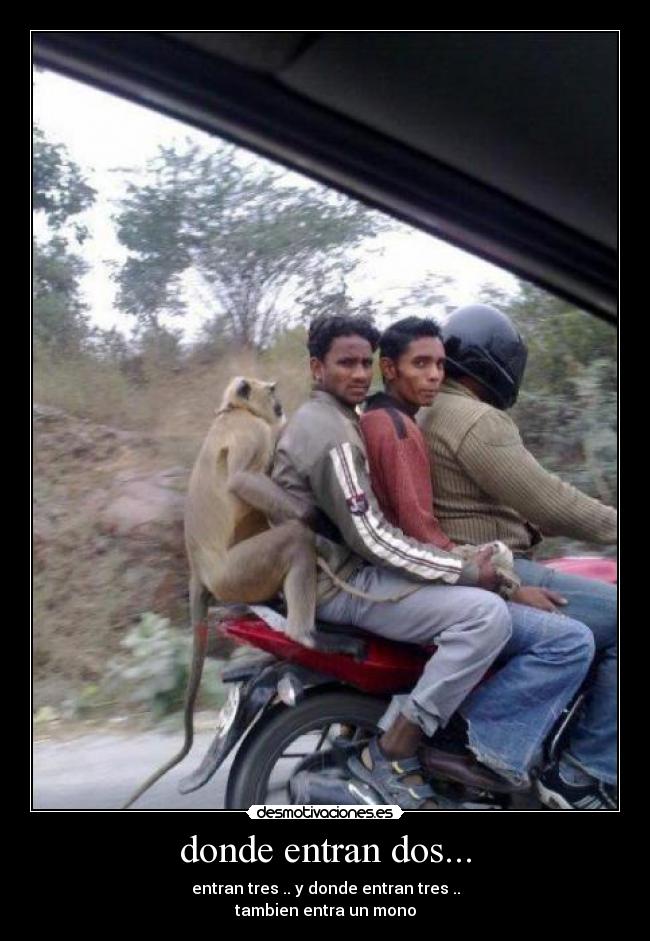 donde entran dos... - entran tres .. y donde entran tres ..
tambien entra un mono