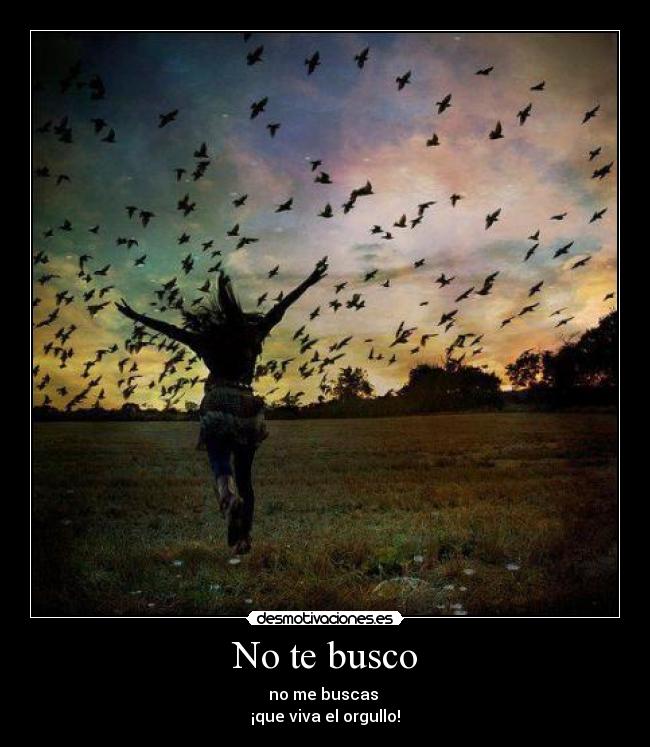 No te busco -