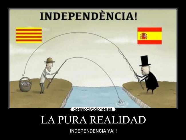 LA PURA REALIDAD -