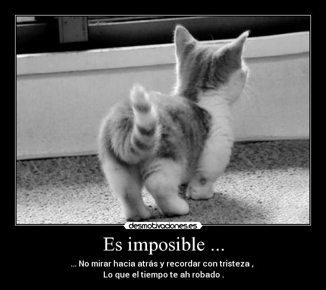 Es imposible ... - ... No mirar hacia atrás y recordar con tristeza ,
Lo que el tiempo te ah robado .