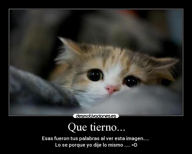 carteles hermoso desmotivaciones