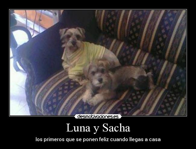 Luna y Sacha - 