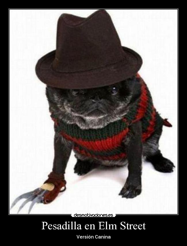 Pesadilla en Elm Street - Versión Canina