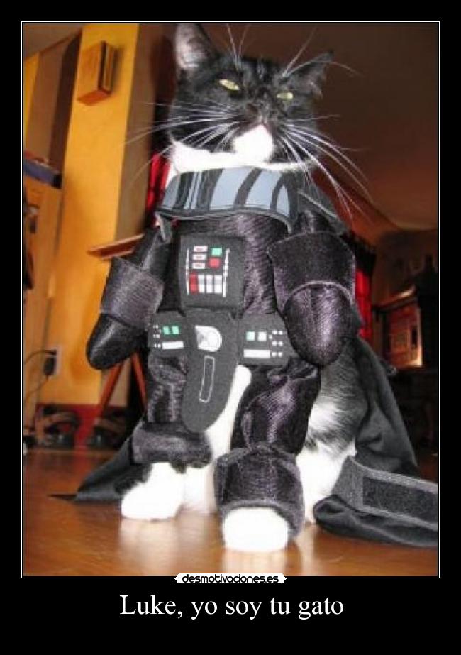 Luke, yo soy tu gato -