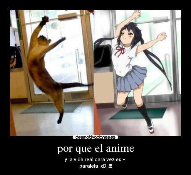 por que el anime -