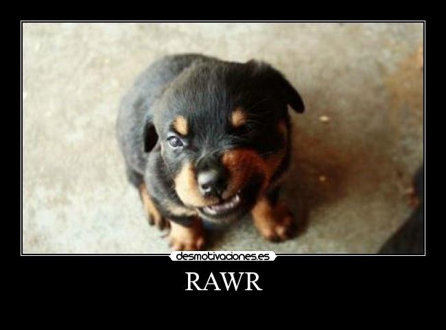 RAWR - 