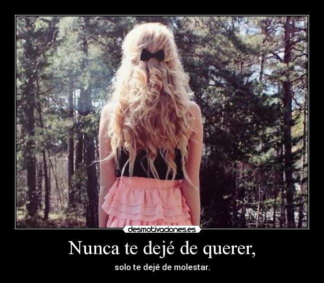 Nunca te dejé de querer, -